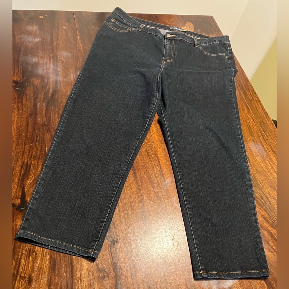 Venezia by Lane Bryant Dark Wash Denim Jeans 5 Average Stretch Classic